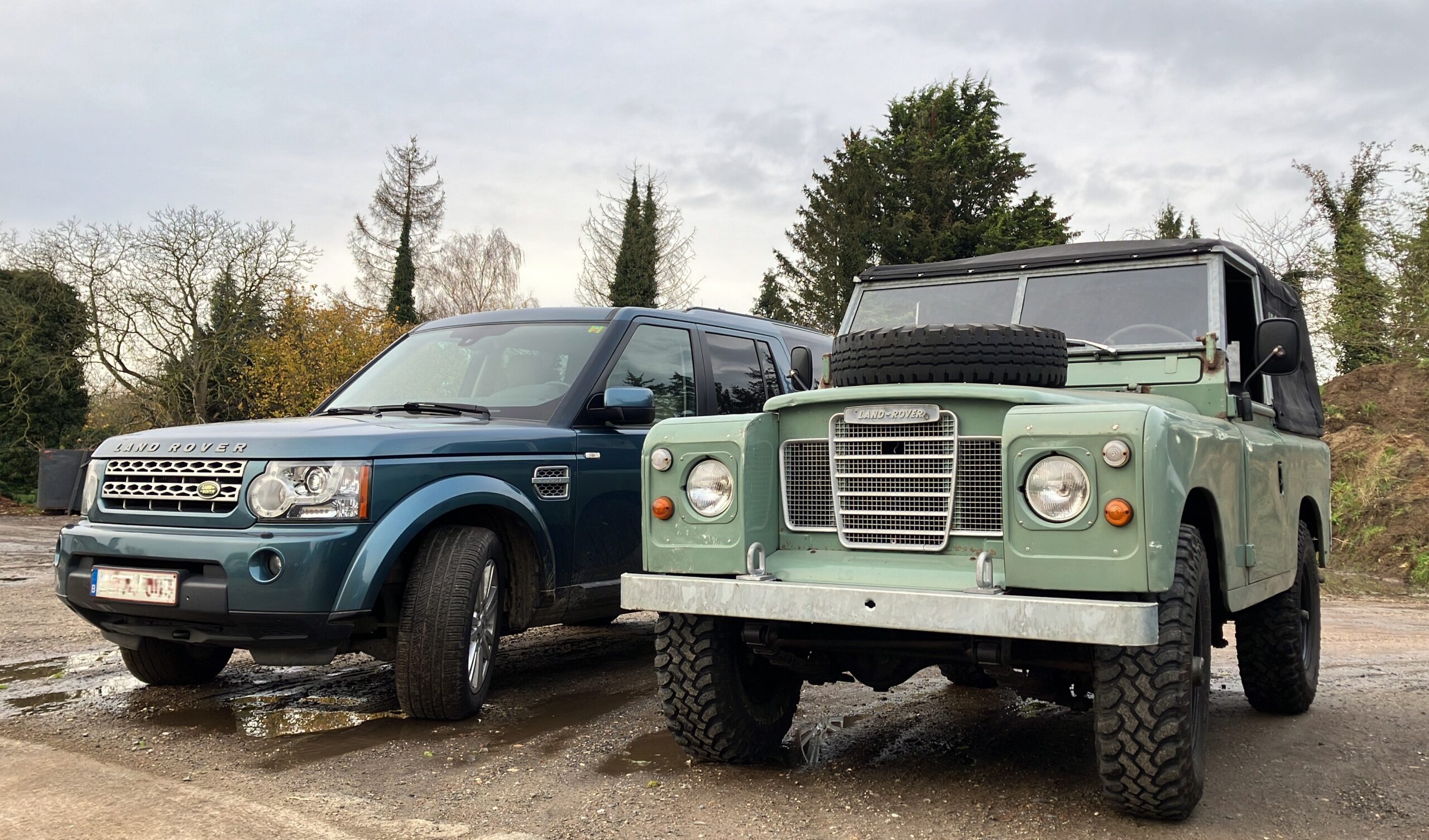 Two Real Beauties